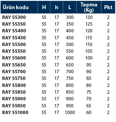 Teleskopik Ray - 55 - Teknik Veri